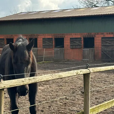 Schilingshof Whg 3 Appartamento Cuxhaven