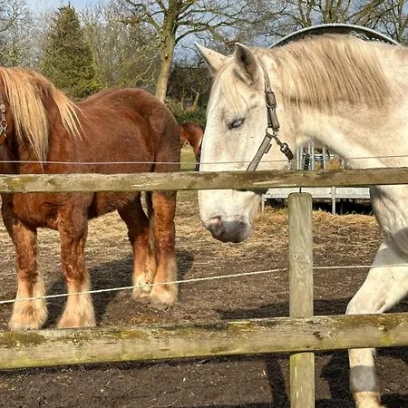 Appartamento Schilingshof Whg 3