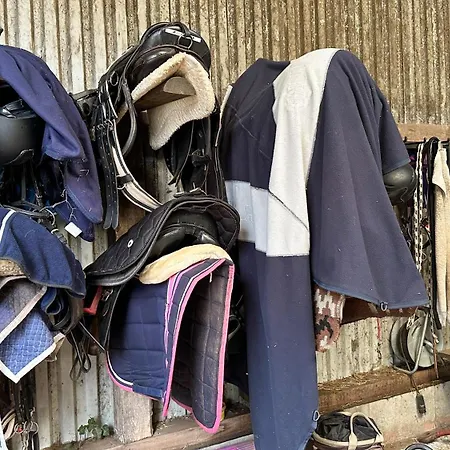 Schilingshof Whg 3 * Cuxhaven